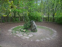 Deux grandes pierres et un houx au centre d'un cercle délimité par de petites pierres, dans une forêt.