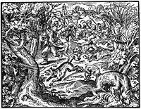 Drawing of a wolf hunt from Neuw Jag vnnd Weyderwerck Buch, Frankfurt am Main 1582