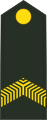 Korporaal (Royal Netherlands Army)[42]