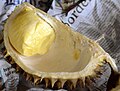 'Thurian long Laplae' is a delicious Durian cultivar from Laplae district in Uttaradit province