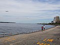 川崎浮島つり園