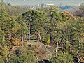 Der sagenumwobene Weiberstein auf der Hochfläche bei Großdraxdorf