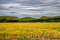 Івахновецький заказник