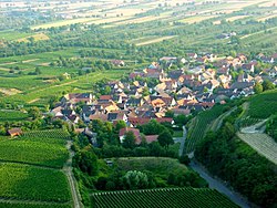 Skyline of Sasbach am Kaiserstuhl