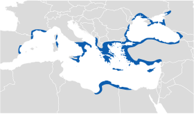 Image illustrative de l’article Colonisation grecque