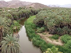 Oasis, Mulegé, Baja California Sur