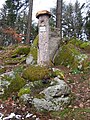 image=https://commons.wikimedia.org/wiki/File:Heidenstein_Schwaibach_DSCN5543.jpg