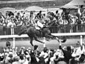 Image 13Phar Lap winning the Melbourne Cup, "the race that stops a nation" (from Culture of Australia)