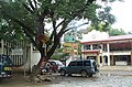 Vista de una calle en Tamarindo.