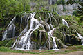 Au niveau de la cascade du Dard, les plantes participent à la précipitation de calcaire (phénomène de biolithogenèse)[Note 2].