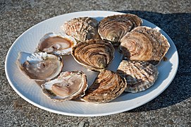 Belons de Cancale prêtes à être consommées.