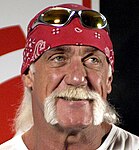 Hulk Hogan