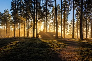 Winner of Wiki Loves Earth 2017 in Sweden