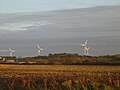 Le champ d'éoliennes.