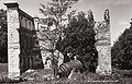 Ruins of the Biržai Castle in 1954