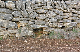 Lèque ou piège à lapin aménagé dans une restanque.