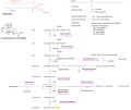 Sphingolipidoses