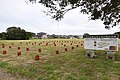 常陸国 鹿島郡衙跡 （神野向遺跡）