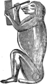 English: Ape. Picture from popular bible encyclopedia of Archimandrite Nicephorus (1892). Русский: Обезьяна. Иллюстрация из иллюстрированной библейской энциклопедии архимандрита Никифора (1892)