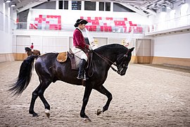 Femme de profil en uniforme rosatre sur un cheval noir au trot