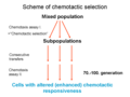 Scheme of Chemotactic selection