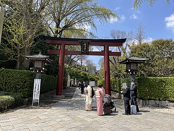 Nezu-jinjan torii-portti