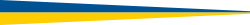 Swedish pennant