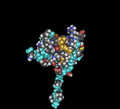 Solution Structure Of Smurf2 Ww3 Domain-Smad7 Py Peptide Complex