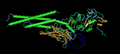 Crystal structure of STAT3 bound to DNA