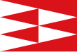 Vlag