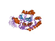 2aga: De-ubiquitinating function of ataxin-3: insights from the solution structure of the Josephin domain