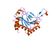 2g19: Cellular Oxygen Sensing: Crystal Structure of Hypoxia-Inducible Factor Prolyl Hydroxylase (PHD2)