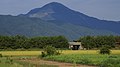 国友から望む伊吹山