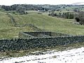 Andy Goldsworthy: Fold 1