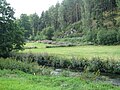 Naturbelassene Eger unterhalb des Egerstaus