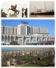 Lupus-Collage Samsun.png