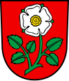 Wappen von Uznach