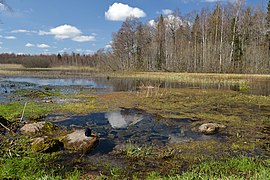 La source du lac Esna.