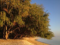 Magalawa Island