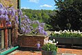 Westerham (Kent), England: Chartwell House, Privathaus von Winston Churchill