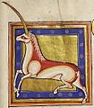 The Aberdeen Bestiary (Univ. Lib. MS 24), folio 15 recto: Monoceros, circa 1200, England, miniature, 30.2 × 21 cm, Aberdeen University Library, Aberdeen.