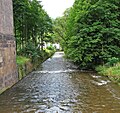 the river Göltzsch