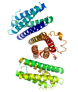 Granulocyte colony-stimulating factor