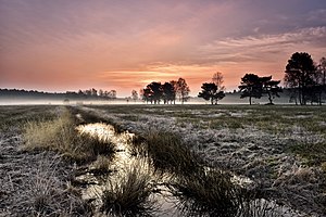 12. Platz: Tanneberger Neu! mit Moorgebiet „Der Loben“ im Südosten des Naturparks Niederlausitzer Heidelandschaft