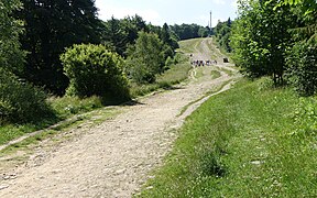 Grzbiet między Szyndzielnią i Klimczokiem