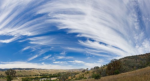 Cirrus clouds