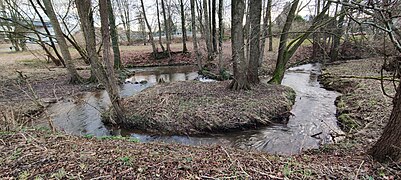 Haarbach-Mäander nahe Haaren