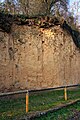 Loess wall Stuttgart-Münster