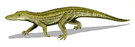 Uberabasuchus