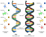 Nova imagem SVG